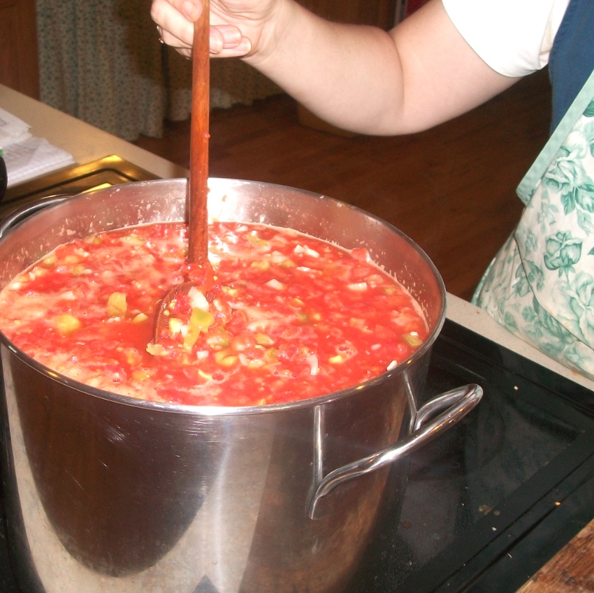 Making Salsa - Apron Strings & other things