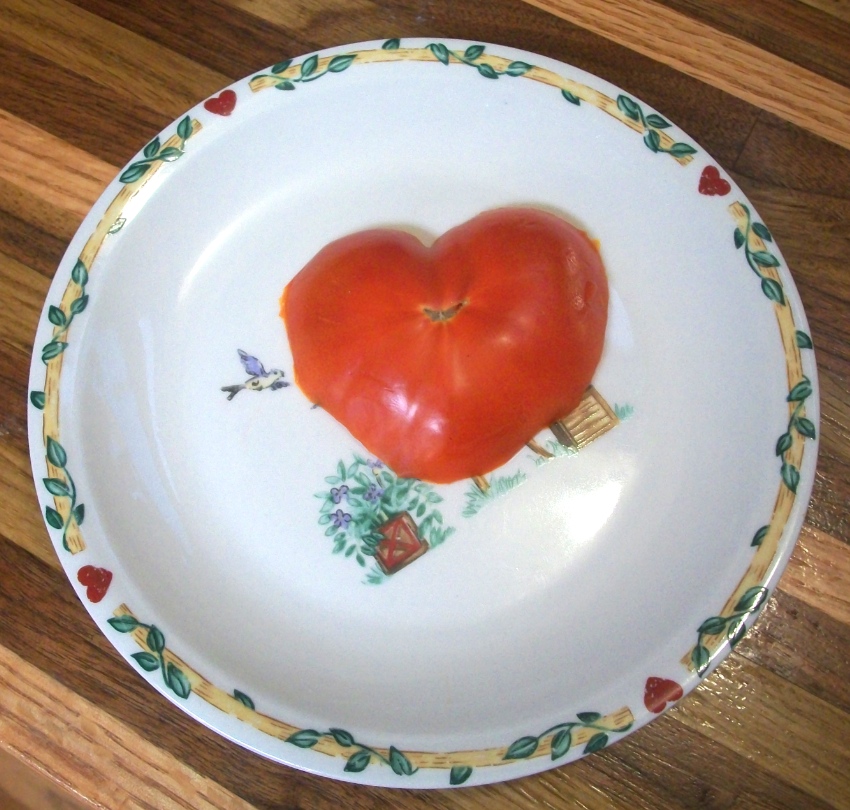 i {heart} tomatoes