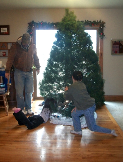 tree 4 | Apron Strings & other things