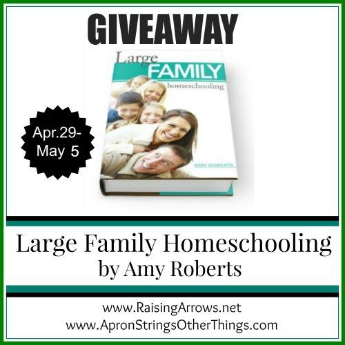 Large Family Homeschooling - Apron Strings Other Things