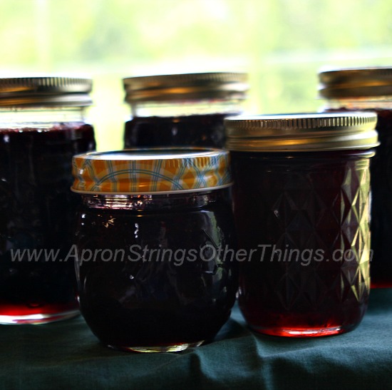 Strawberry Jam - Apron Strings & other things
