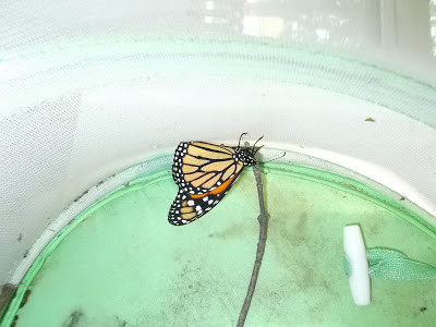 hfh 9.24.15 DSCF5083