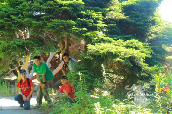 when cooped up in small quarters we find time for Enjoying the Outdoors at ApronStringsOtherThings.com