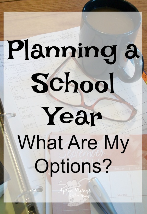 What Are My Options for Planning a Home School Year Back to Home School Series at ApronStringsOtherThings.com