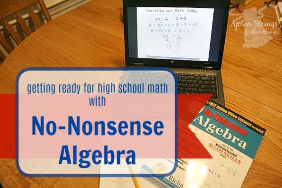 Math Essentials No-Nonsense Algebra {A Review} - Apron Strings & other ...