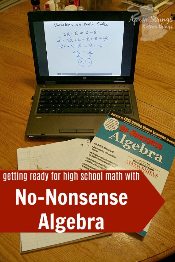 Math Essentials No-Nonsense Algebra {A Review} - Apron Strings & other ...