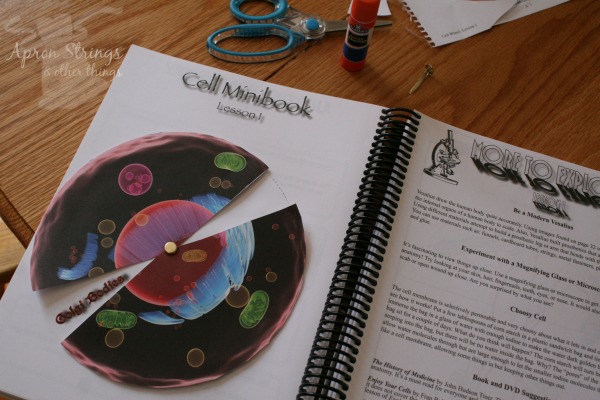 Apologia Exploring Creation Science Notebooking Journal Cell Structure at ApronSTringsOtherThings.com
