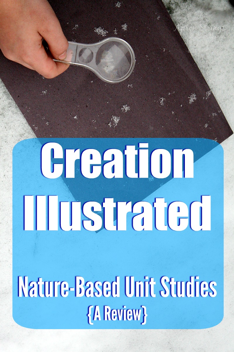 Creation Illustrated Nature Based Unit Studies {A Review}
