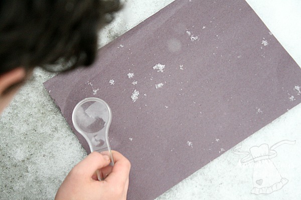 Creation Illustrated Nature Unit Studies Snow at ApronStringsOtherThings.com