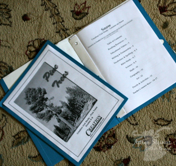 Creation Illustrated Nature Unit Studies in folders at ApronStringsOtherThings.com