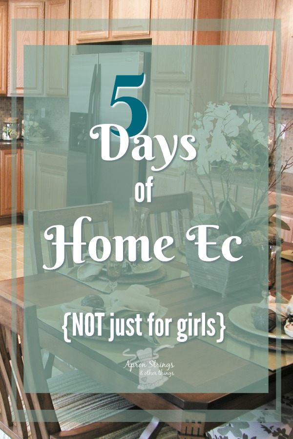 Five Days of Home Economics NOT just for girls at ApronStringsOtherThings.com