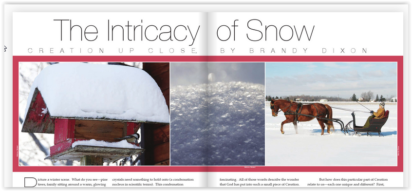 Screen Shot Intricacy of Snow Creation Illustrated at ApronSTringsOtherThings.com