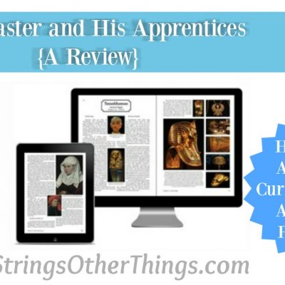 High School Art Appreciation Curriculum from A Christian Perspective {a review}