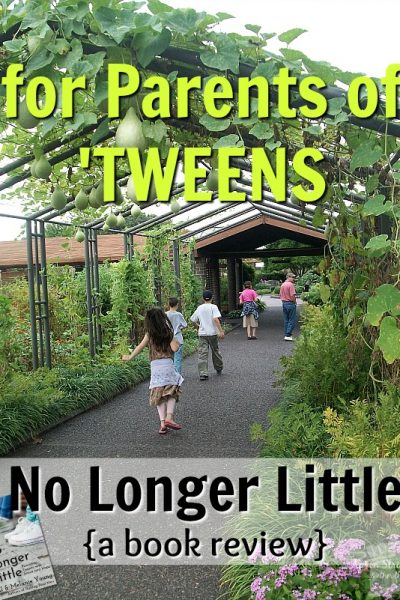 For Parents of Tweens No Longer Little Book Review Great Waters Press at ApronStringsOtherThings.com