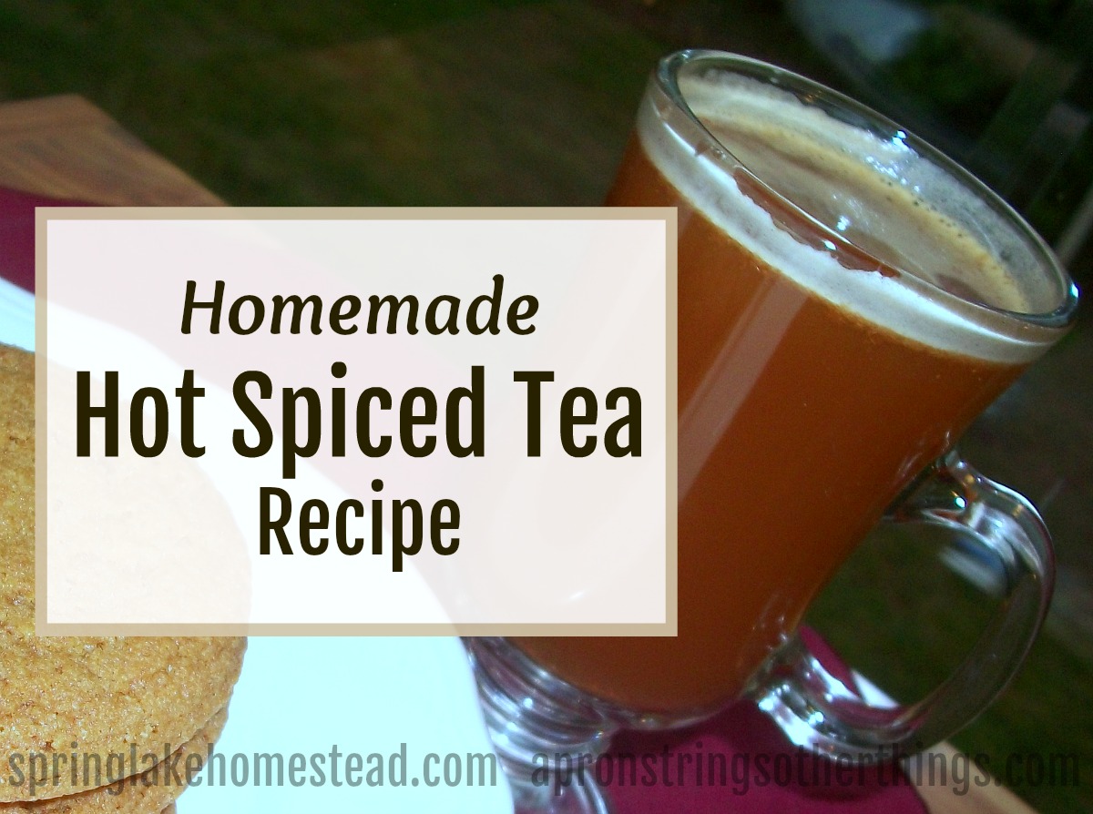 Homemade Hot Spiced Tea Recipe ApronSTringsOtherThings.com