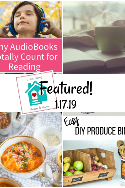 https://www.anikasdiylife.com/diy-divided-produce-storage-bin/
