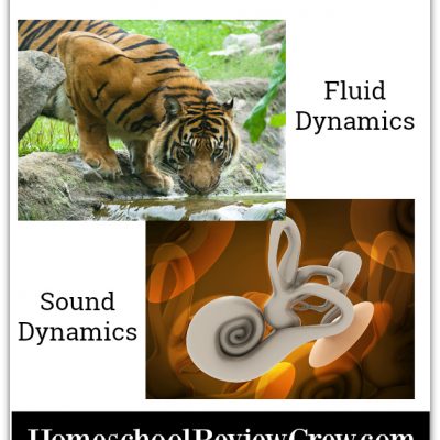 Cross-Wired Science – A Review