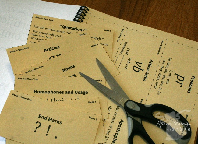 IEW Fix It! Grammar flashcards book one at ApronStringsOtherThings.com