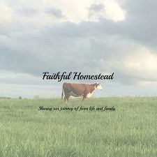 This image has an empty alt attribute; its file name is Faithful-Homestead-300x225.jpg