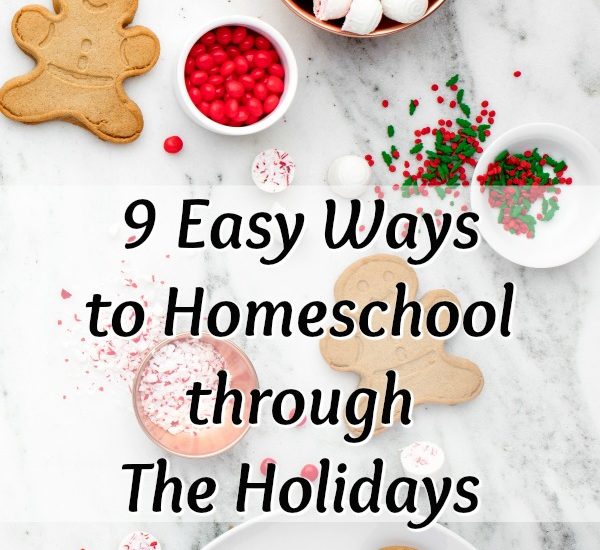 9 Easy Ways to Homeschool Trhough The Holidays at ApronStringsOtherThings.com pin