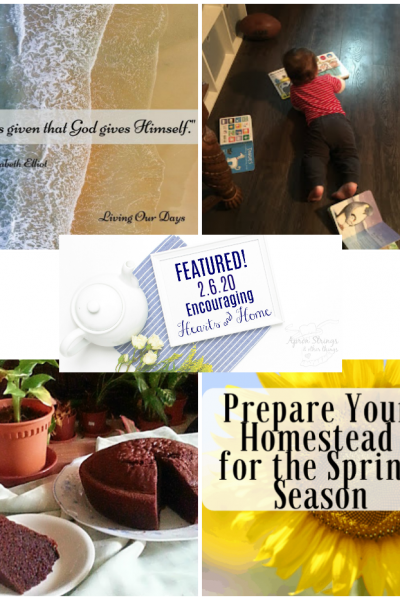 Encouraging Hearts & Home Blog Hop Featured 2.6.20 at ApronStringsOtherThings.com
