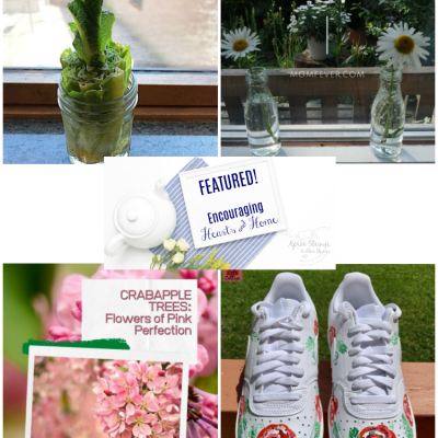Encouraging Hearts & Home Blog Hop 6.11.20