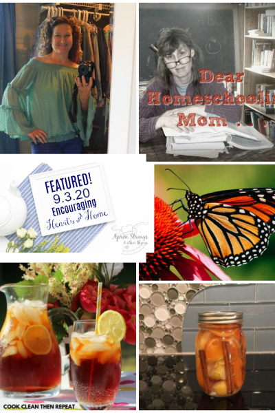 encouraging-hearts-home-blog-hop-featured-9.3.20-at-apronstringsotherthings.com