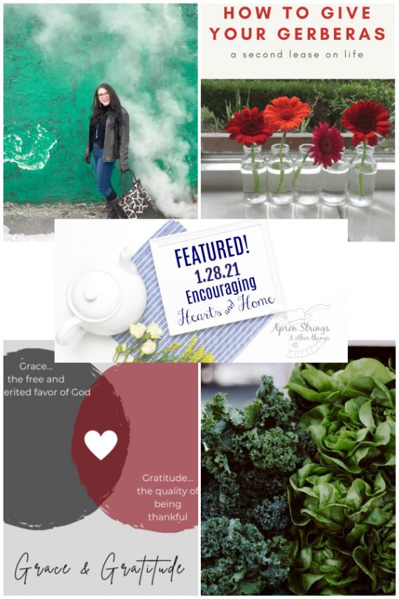 Encouraging Hearts Home blog hop featured 1.28.21 at apronstringsotherthings.com