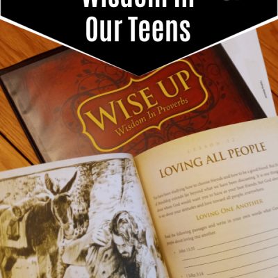 Positive Action Bible Curriculum Wise Up Review