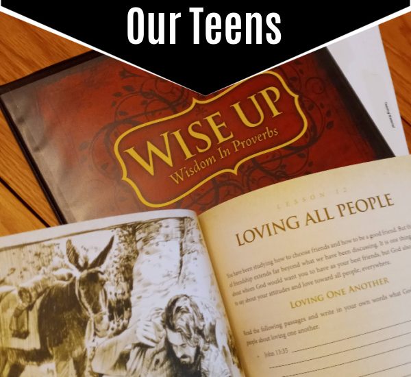 Positive Action for Christ Wise Up Review at apronstringsotherthings.com