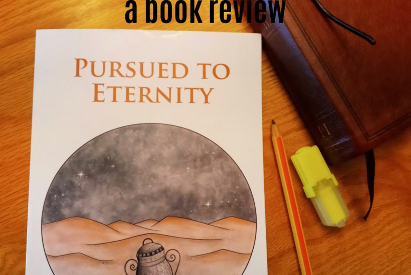 pursued to eternity john riley book review at apronstringsotherthings.com