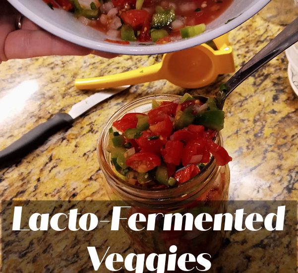 fermentools starter kit lacto-fermenting veggies at apronstringsotherthings.com